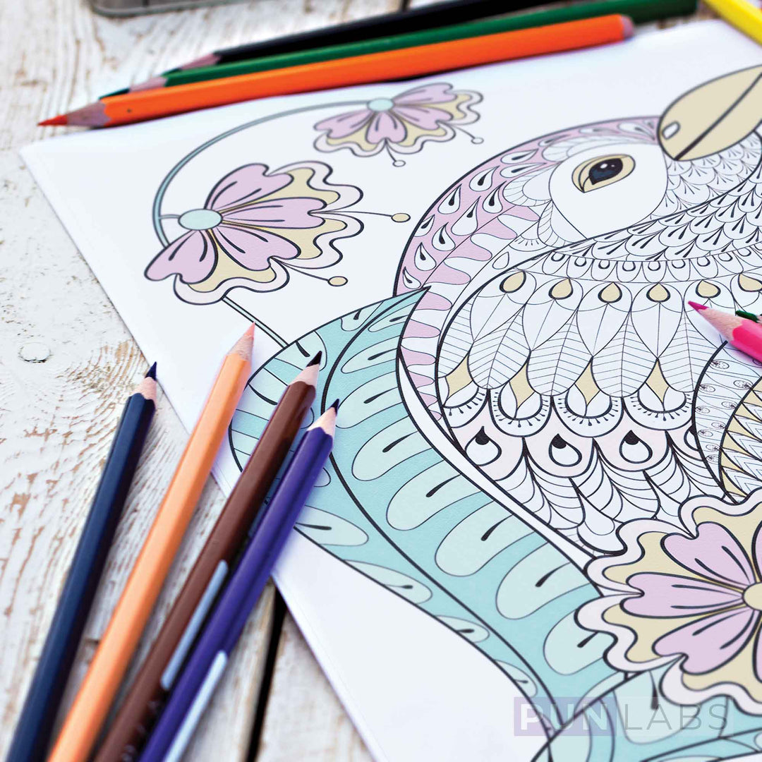 Squid Colors Coloring Page