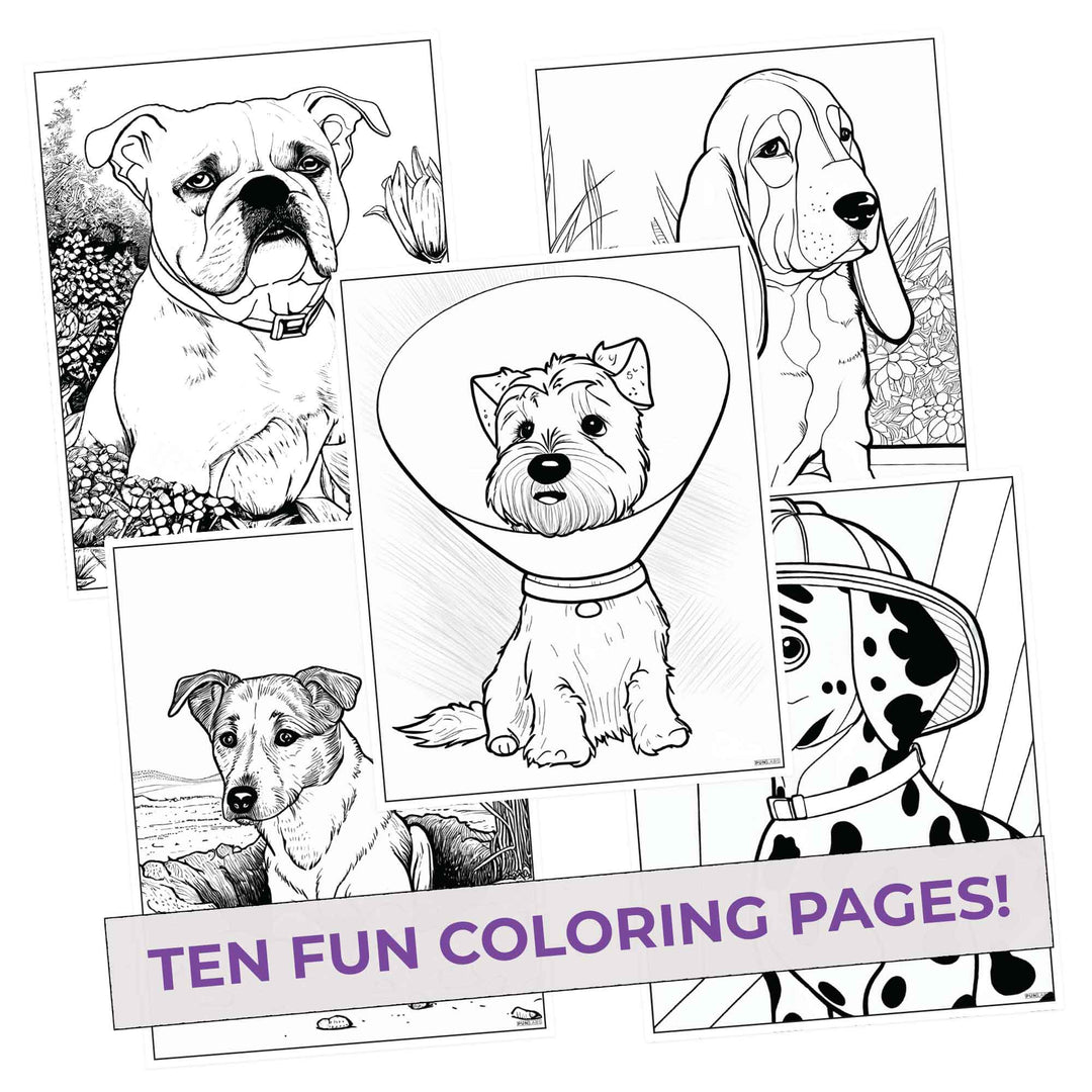 Wholesale The Colours Coloring Pages (10 Pack) for Fans of The