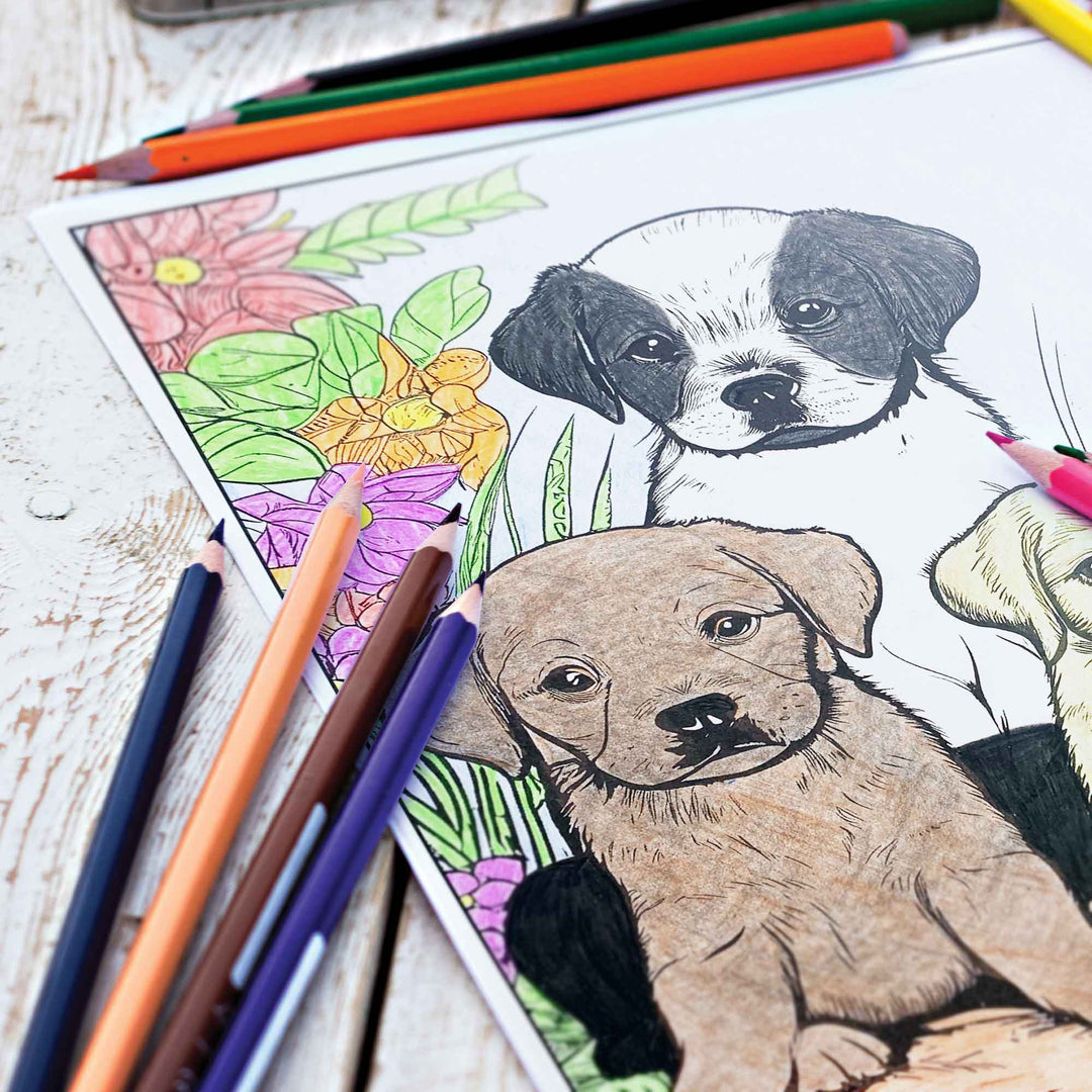 Dog themed coloring page being colored in