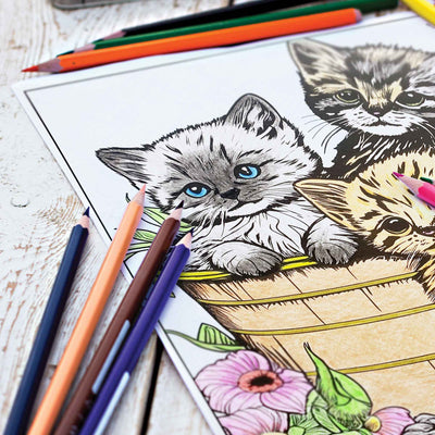 Cat themed coloring page colored in